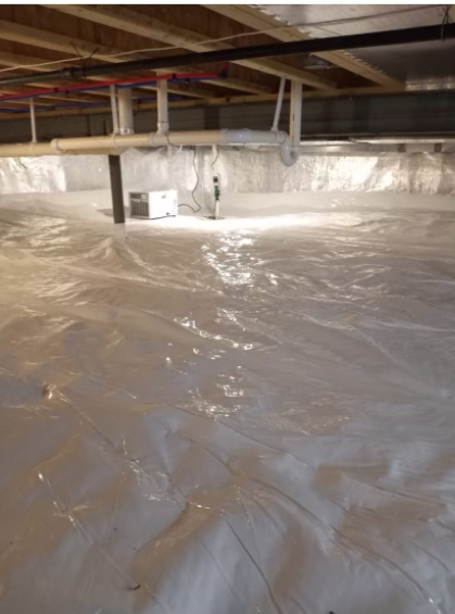 Crawlspace Dehumidifier
