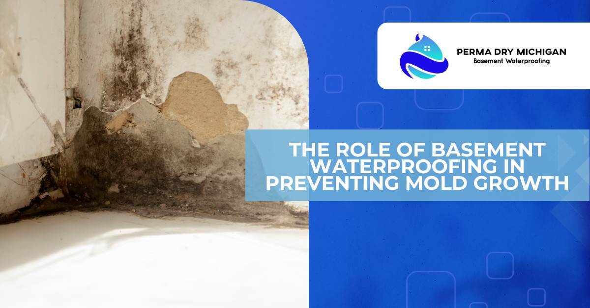 moldy basement. The role of basement waterproofing in preventing mold growth. Perma Dry Michigan.